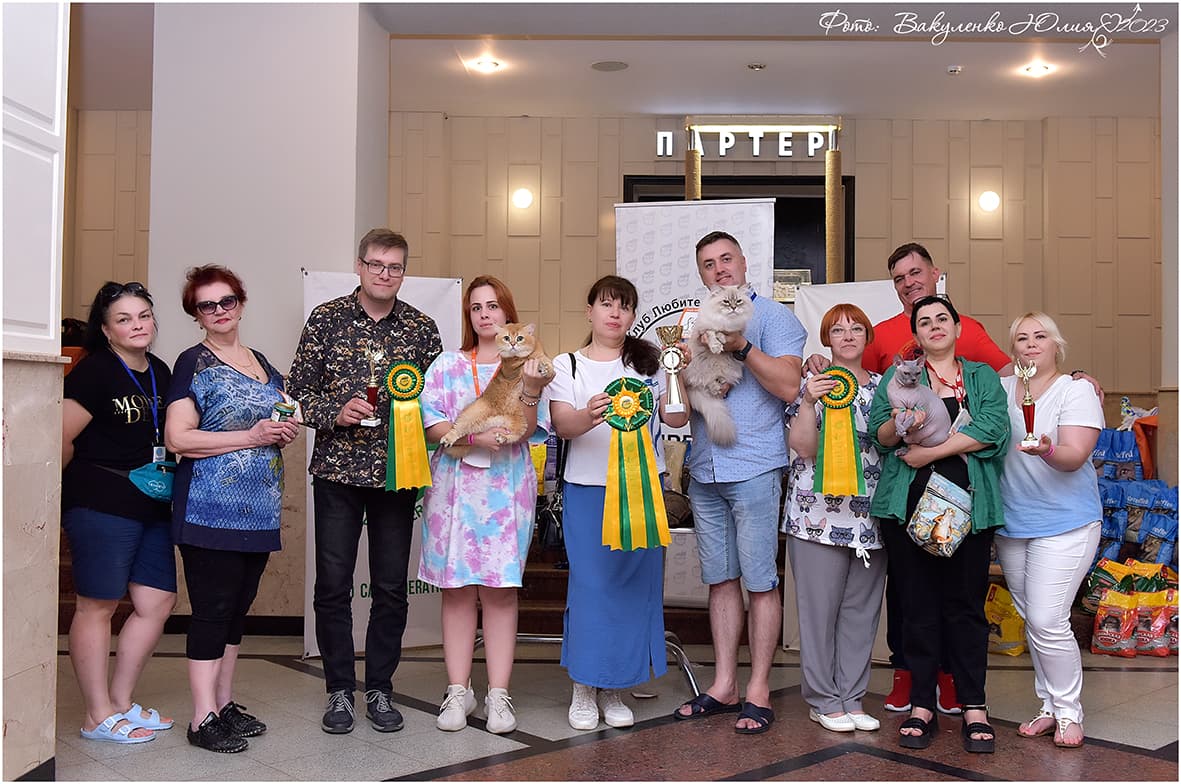 выставка в г.Краснодар. Best of Best 1